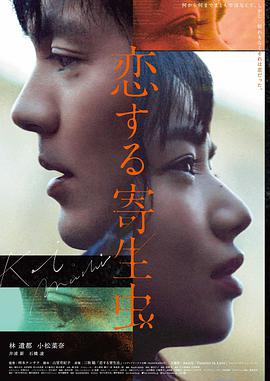 龙猫·冬瓜修复版